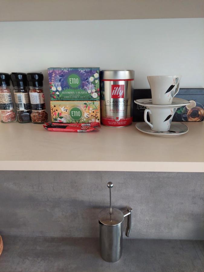 Maple Park Apartment 考纳斯 外观 照片