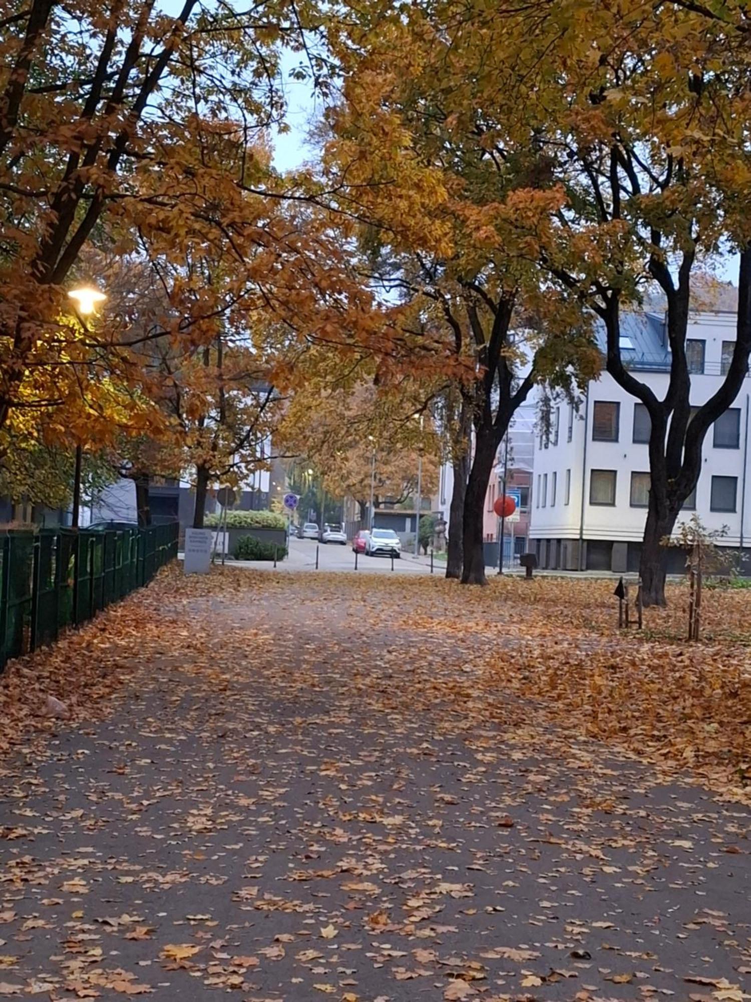 Maple Park Apartment 考纳斯 外观 照片